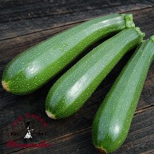 Dark Green Zucchini - Certified Organic
