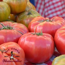 Brandywine Tomato - Certified Organic