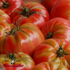 Prudens Purple Tomato - Certified Organic