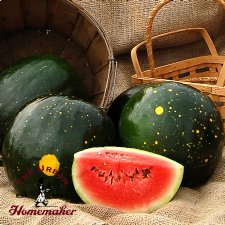 Moon & Stars Watermelon - Certified Organic