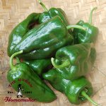 Ancho Poblano Hot P...