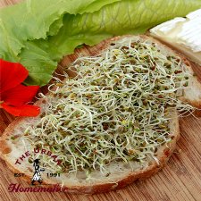Alfalfa Sprouting Seeds-Organic-