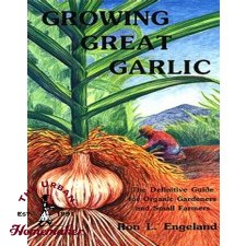 Growing Great Garlic