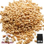 Prairie Gold Hard White Wheat - 25 lb. Bag