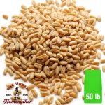 Organic Prairie Gold Hard White Wheat - 50 lb. Bag
