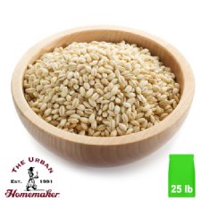Organic Dehulled Barley - 25 lb. Bag