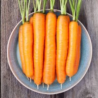 Napoli Carrot