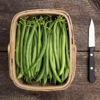 Seychelles Pole Bean